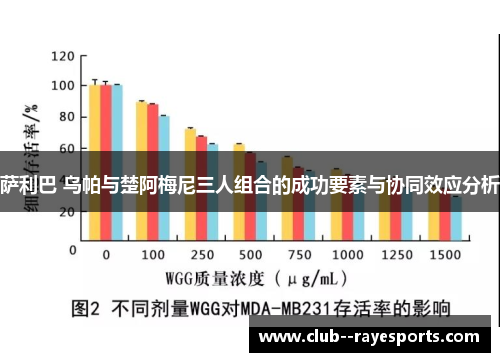萨利巴 乌帕与楚阿梅尼三人组合的成功要素与协同效应分析