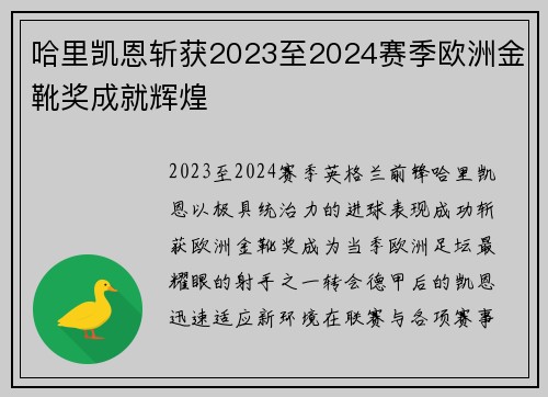 哈里凯恩斩获2023至2024赛季欧洲金靴奖成就辉煌